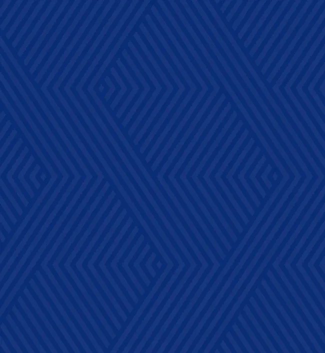 Heritage blue chevron pattern