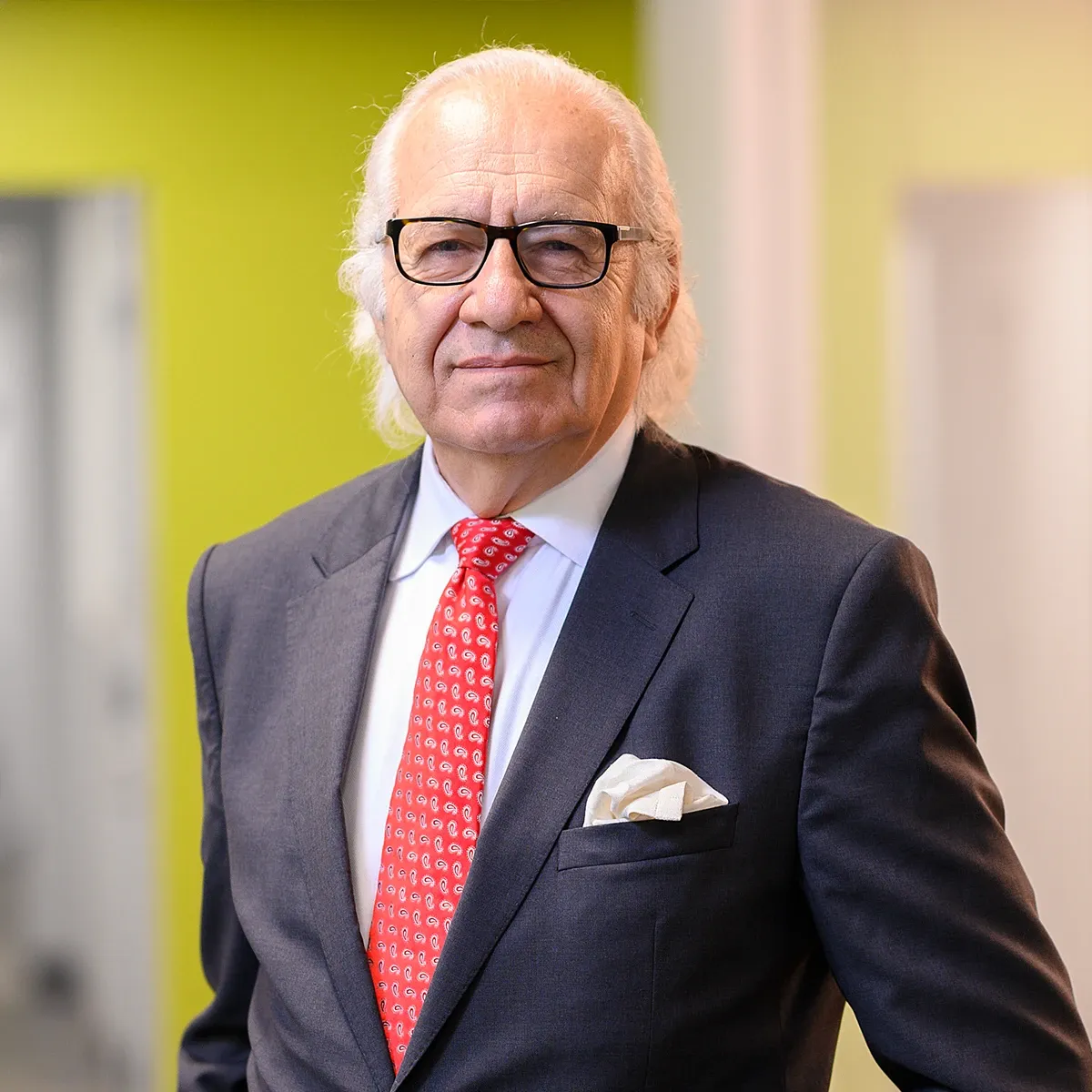 Demir Yener portrait