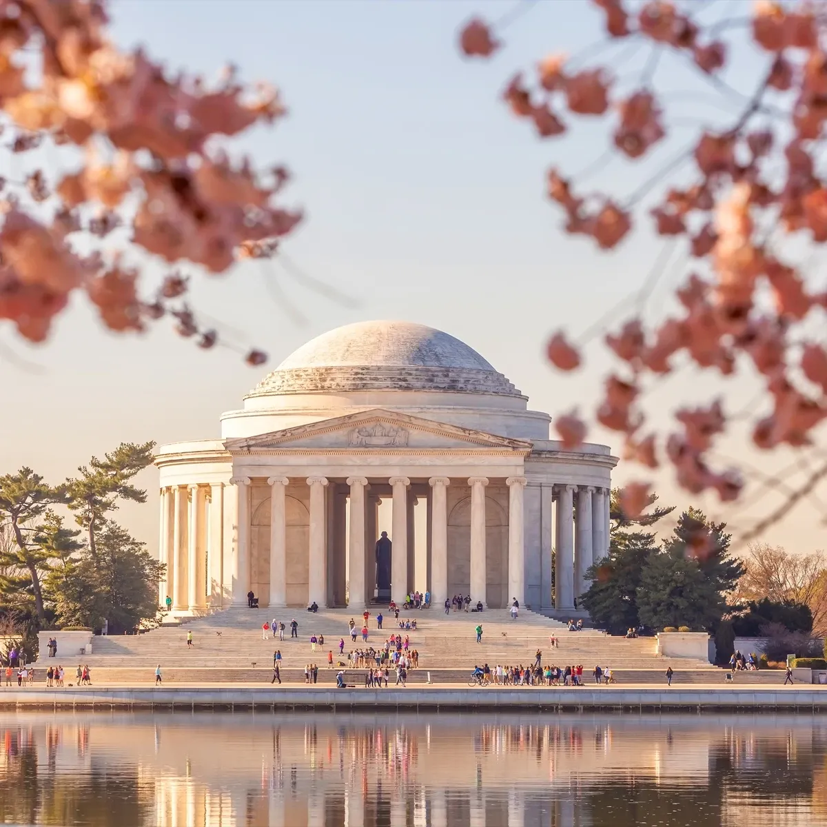 Jefferson Memorial framed by cherry blossoms, reflected in the Tidal Basin at sunset