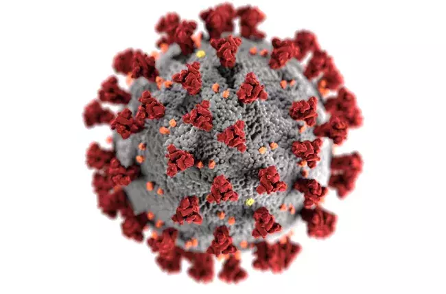 This illustration, created at the Centers for Disease Control and Prevention (CDC), reveals ultrastructural morphology exhibited by coronaviruses. Note the spikes that adorn the outer surface of the virus, which impart the look of a corona surrounding the virion, when viewed electron microscopically. A novel coronavirus, named Severe Acute Respiratory Syndrome coronavirus 2 (SARS-CoV-2), was identified as the cause of an outbreak of respiratory illness first detected in Wuhan, China in 2019.