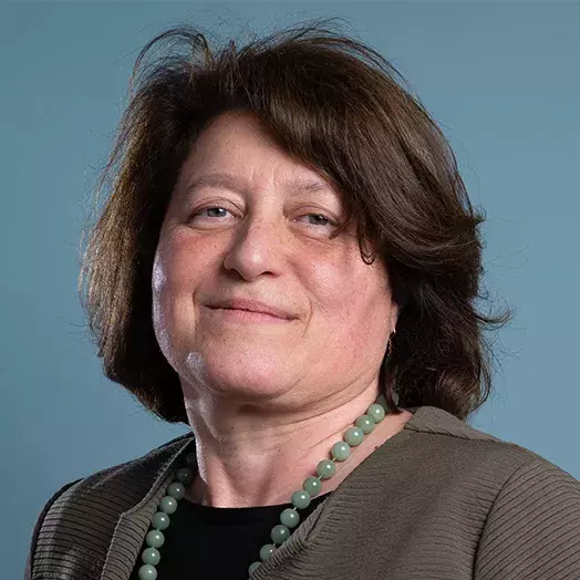 Political Economics Professor Lucia Tajoli 