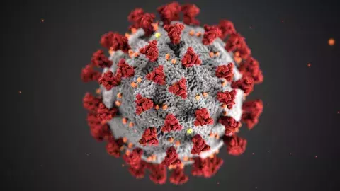 Coronavirus 