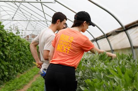 Woman working in a greenhouse during a Farm-to-Business impact sprint available through Johns Hopkins Carey Business School