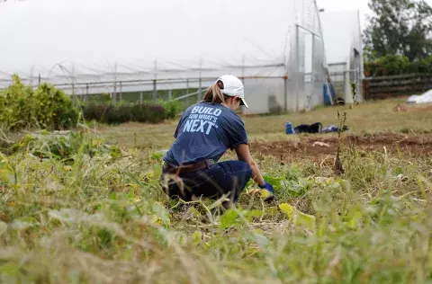 person with a build for whats next t-shirt working in a gardon with green houses in background