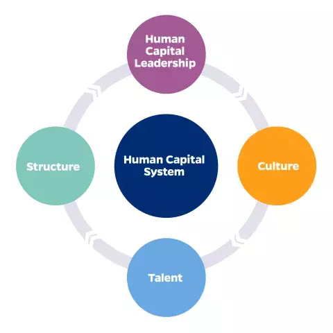 HCDL Mission Graphic with four key areas: human capital leadership, structure, culture, talent and Human Capital System at center