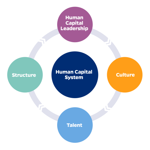 HCDL Mission Graphic with four key areas: human capital leadership, structure, culture, talent and Human Capital System at center