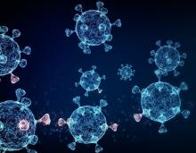 microscopic image of cells microscopic image of cells