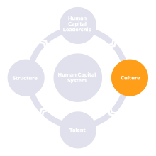 HCDL Mission Graphic with four key areas: human capital leadership, structure, culture (highlighted in orange), talent and Human Capital System at center