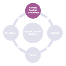 HCDL Mission Graphic with four key areas: human capital leadership (highlighted in purple), structure, culture, talent and Human Capital System at center